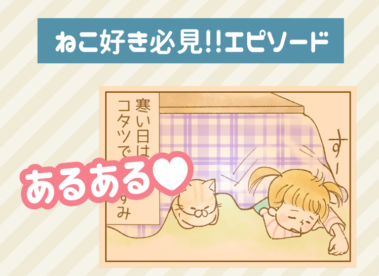 ねこ好き必見！エピソード。「あるある」