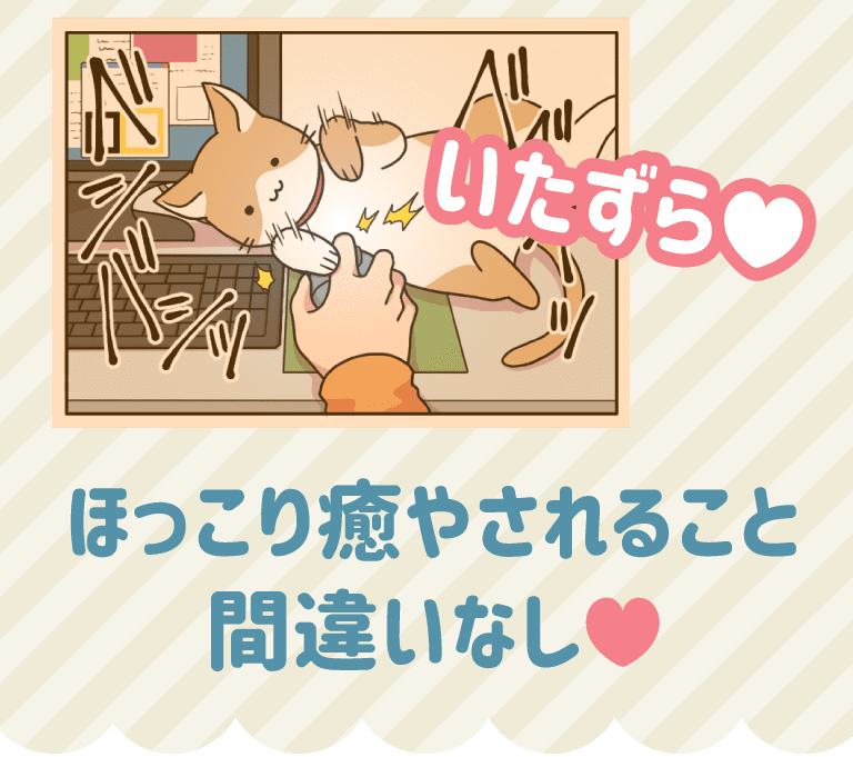 「いたずら」ほっこり癒やされること間違いなし！