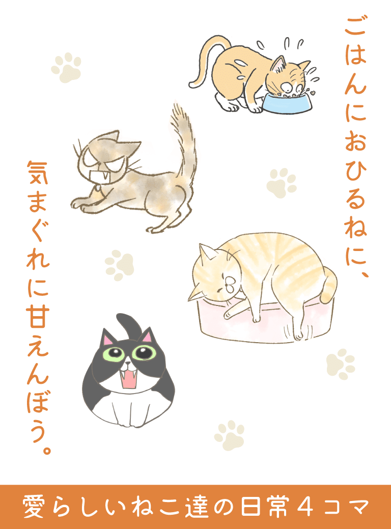 ごはんにおひるねに、気まぐれに甘えんぼう。愛らしいねこ達の日常４コマ